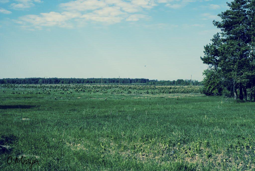 Любеч з panoramio.com - Lyubech
