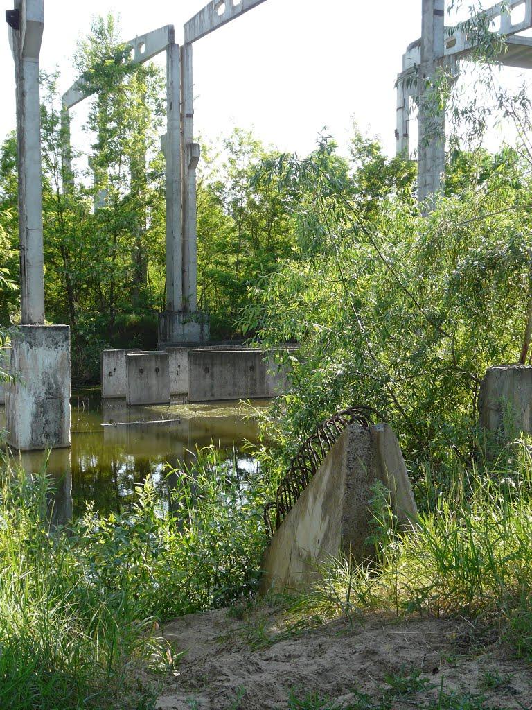 Вітове з panoramio.com - Вітове