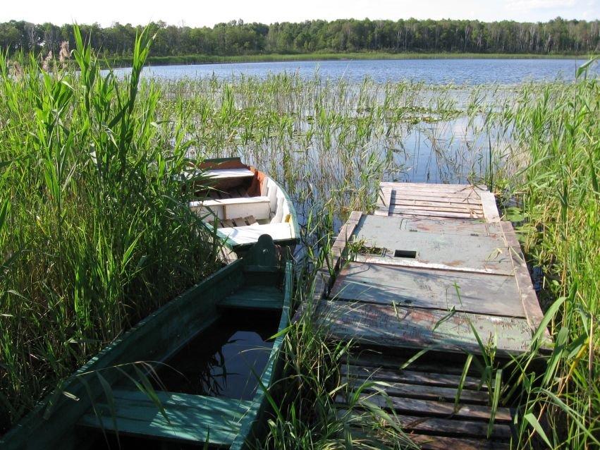 Пересіка з panoramio.com - Пересека