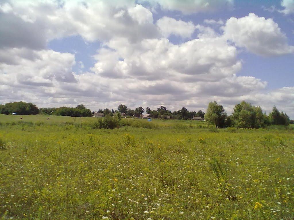 Кропивна з panoramio.com - Крапивна