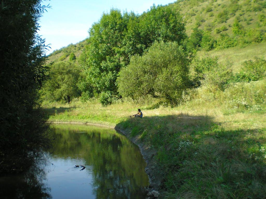 Нефедівці з panoramio.com - Нефедівці