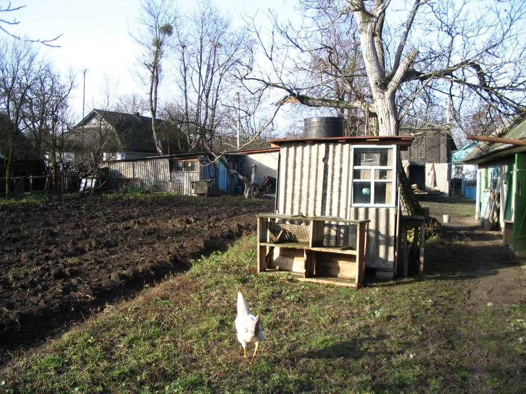 Михайлівці з panoramio.com - Михайлівці