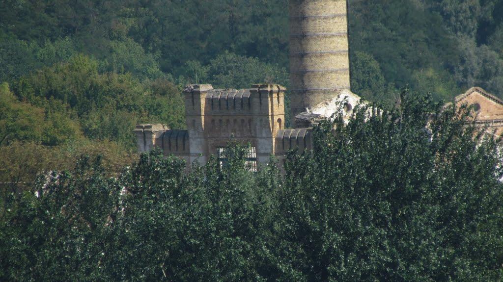 Григорівка з panoramio.com - Григорівка