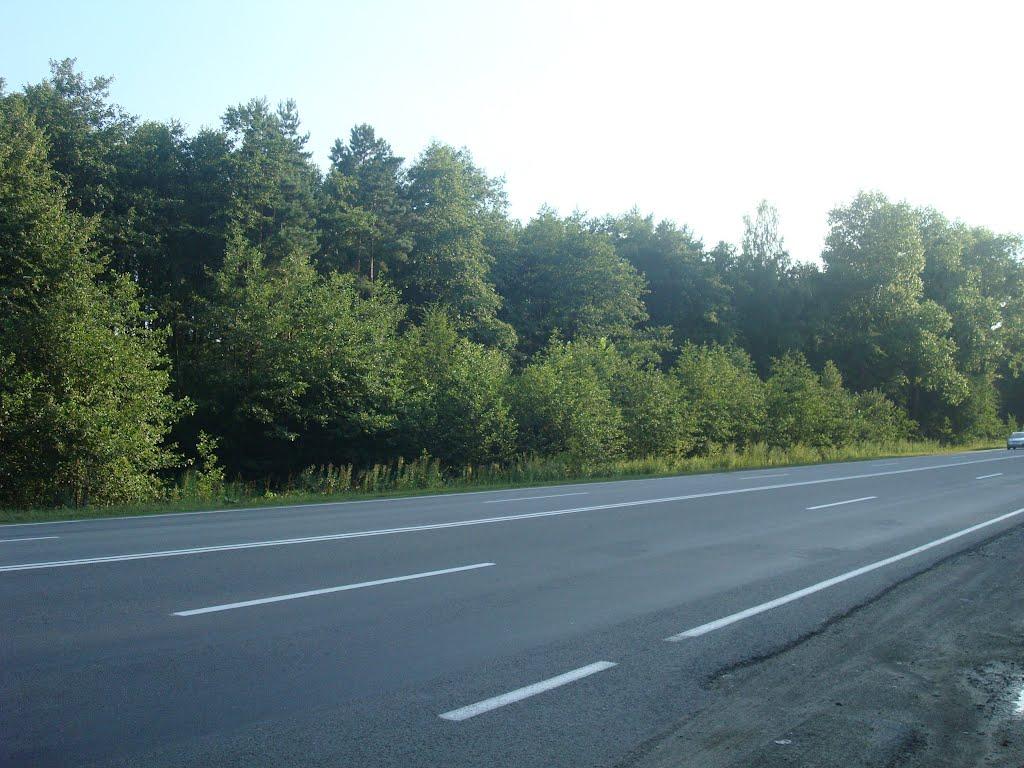 Лісо-Березівка з panoramio.com - Liso-Berezivka