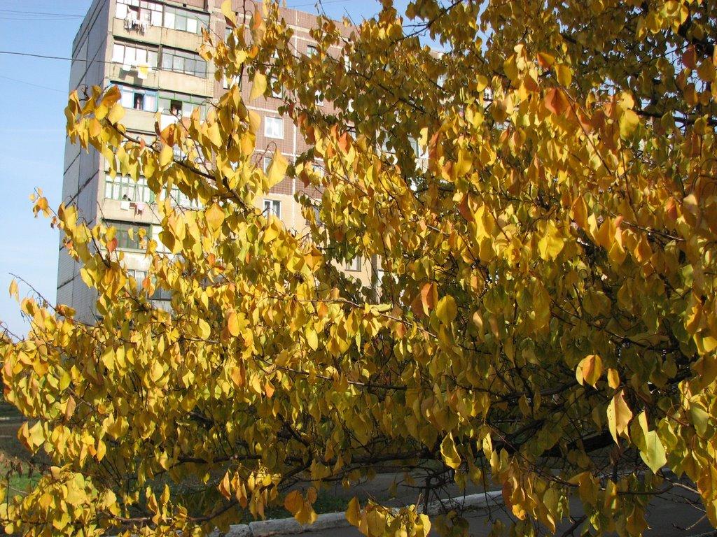 Харцизьк з panoramio.com - Харцызск