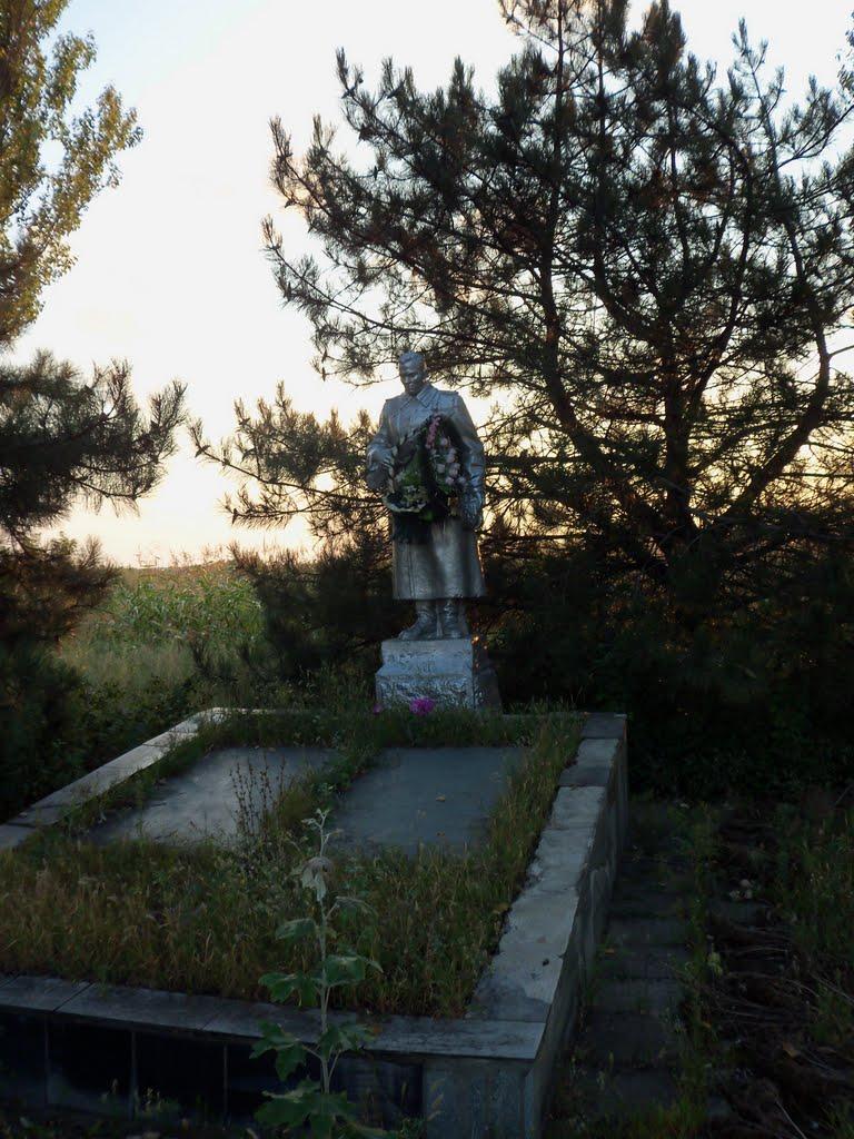 Веселотернувате з panoramio.com - Веселотернувате