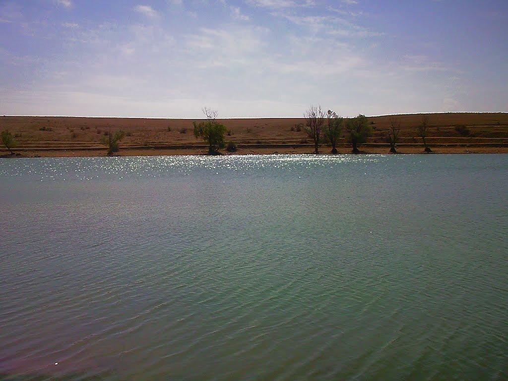 Кочергіне з panoramio.com - Кочергино