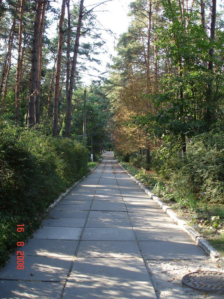 Козин з panoramio.com - Kozyn