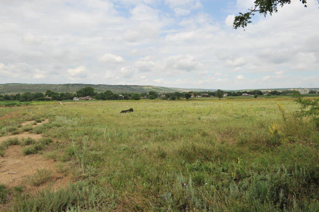 Бецилове з panoramio.com - Бецилово