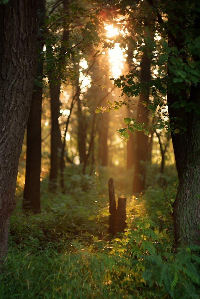 Слов'яносербськ з panoramio.com - Славяносербск