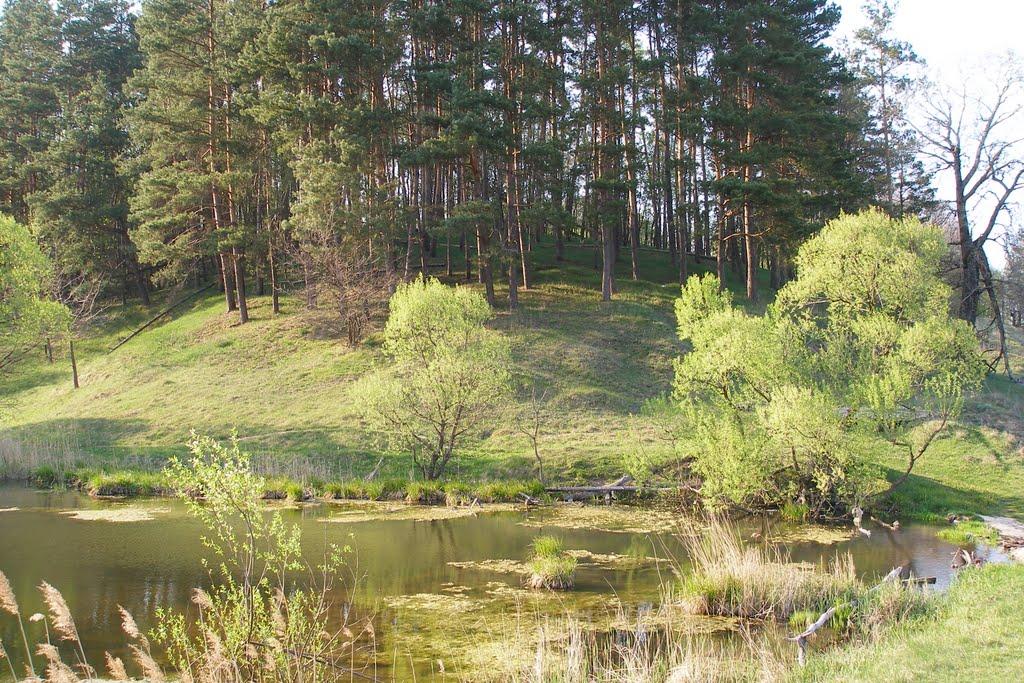 Великий Бобрик з panoramio.com - Velykyy Bobryk