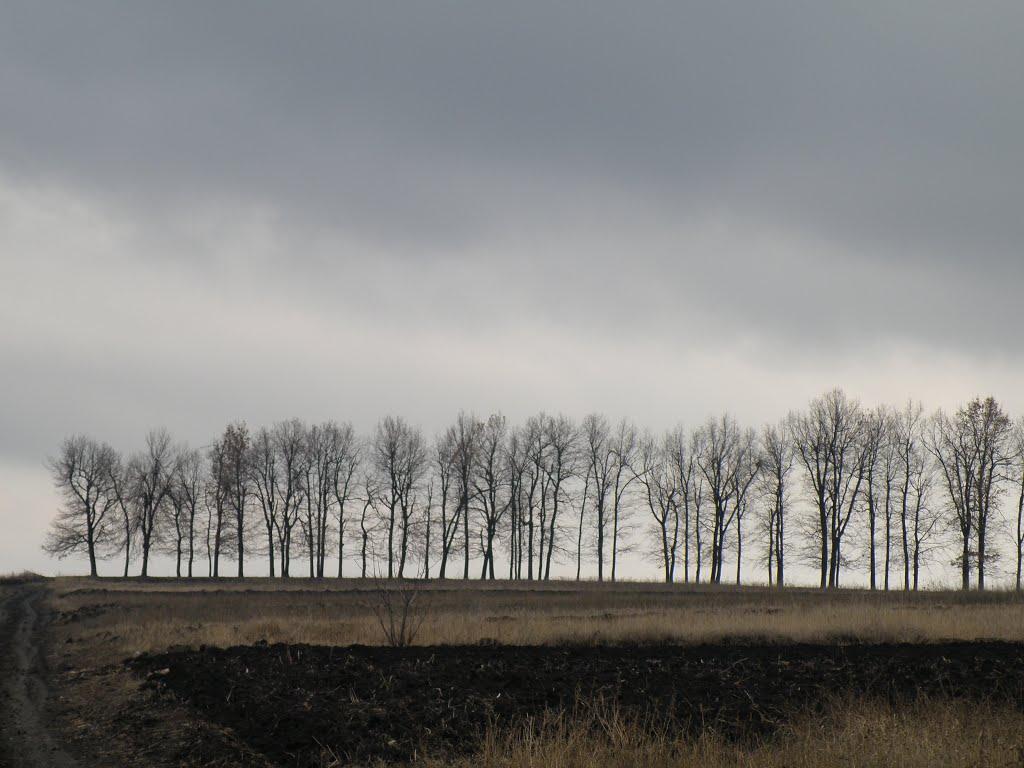 Студена з panoramio.com - Студеная