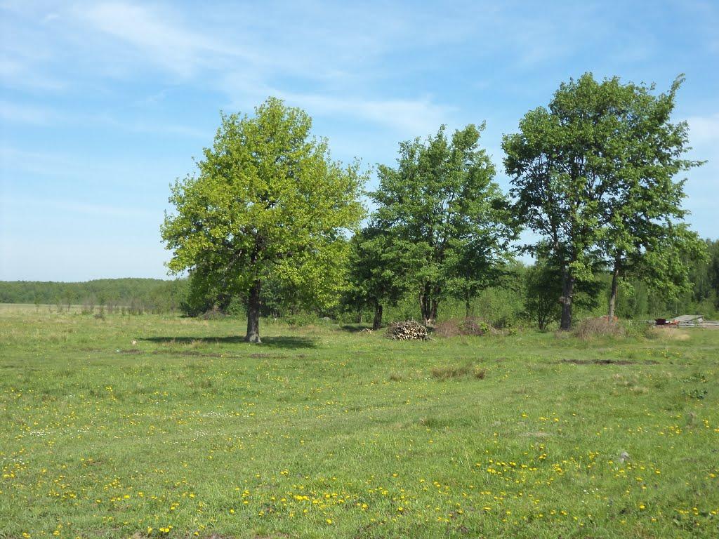 Звози з panoramio.com - Zvozy