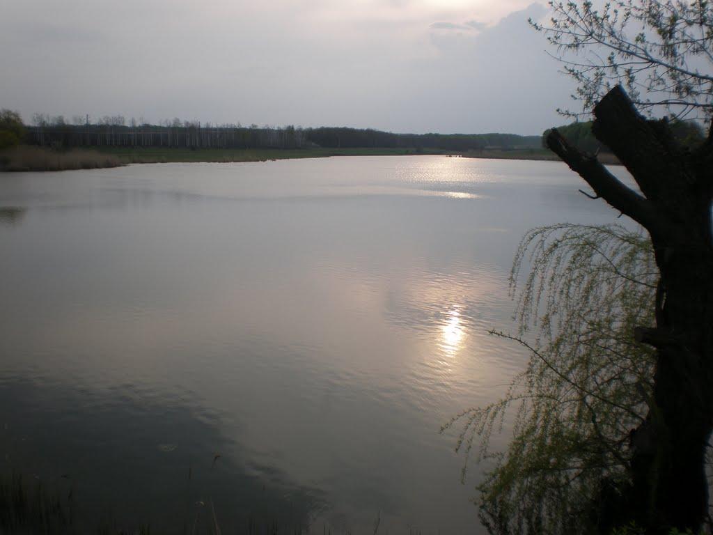 Тельманове з panoramio.com - Тельманове