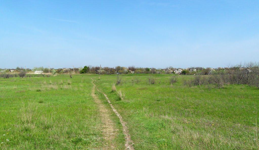 Придорожнє з panoramio.com - Придорожное