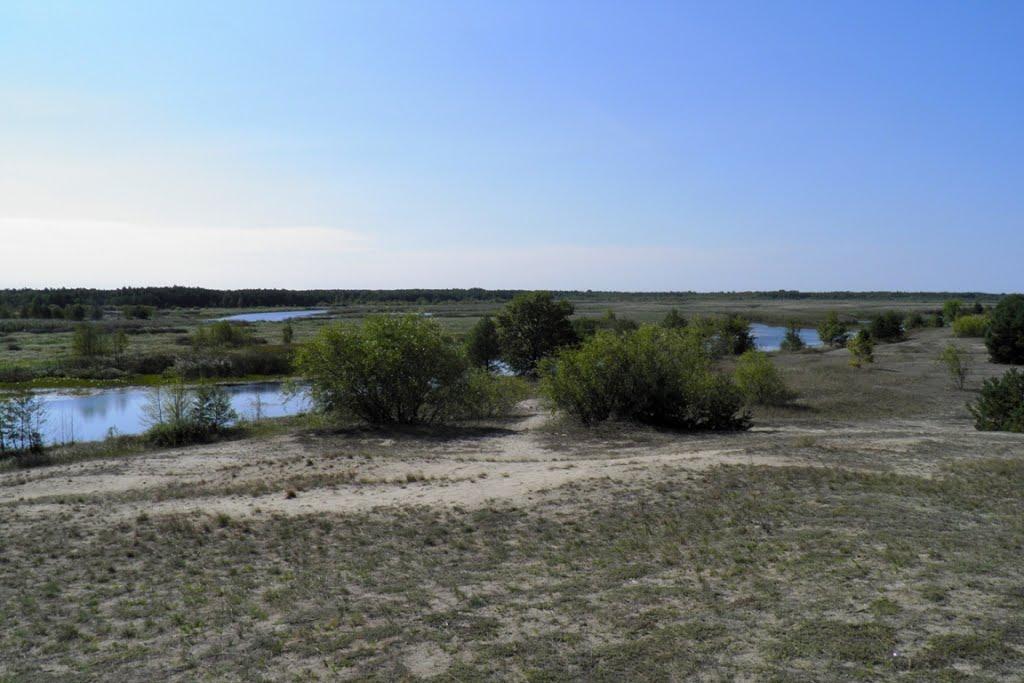 Млин з panoramio.com - Млын