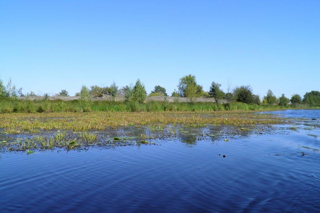 Млин з panoramio.com - Mlyn
