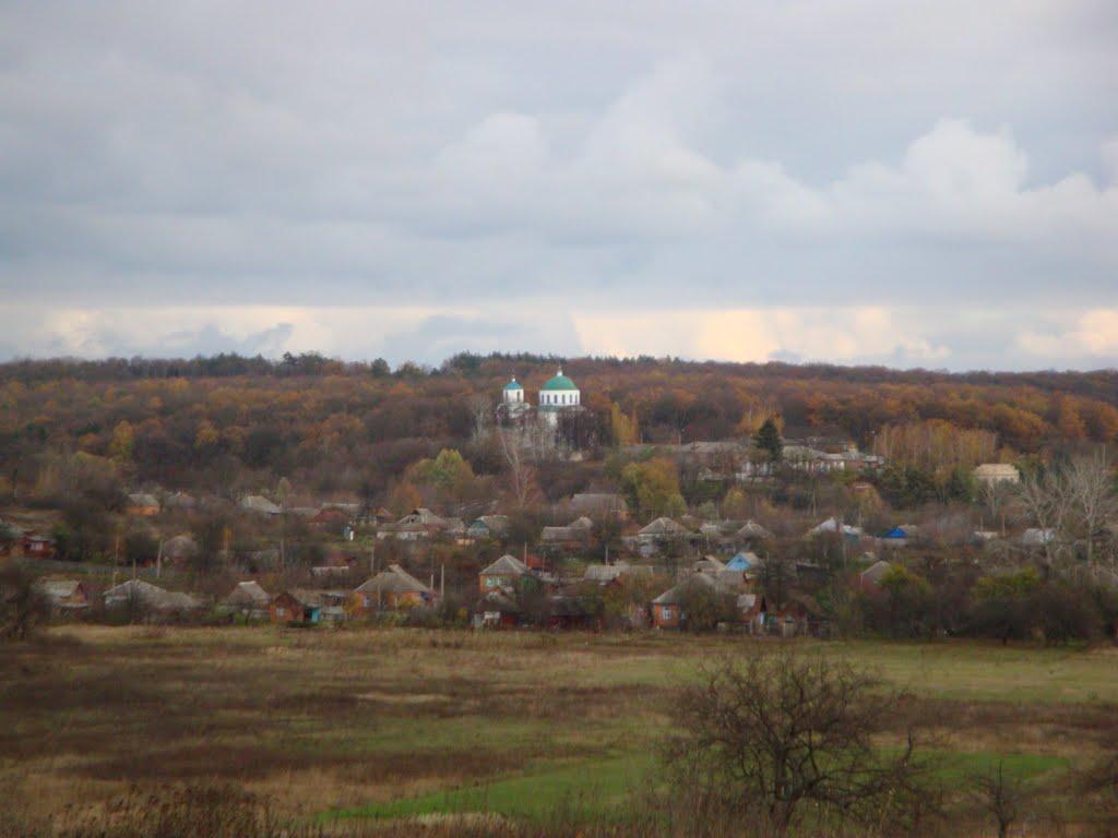 Кам'янка з panoramio.com - Каменка
