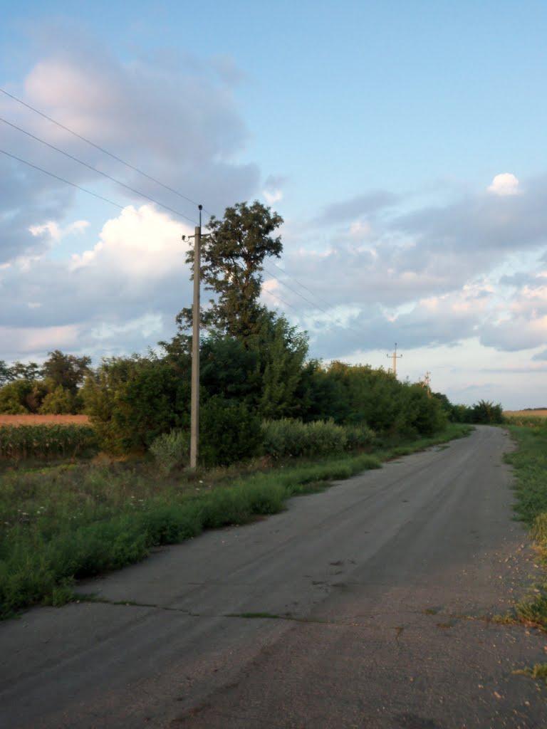 Веселотернувате з panoramio.com - Веселотернувате