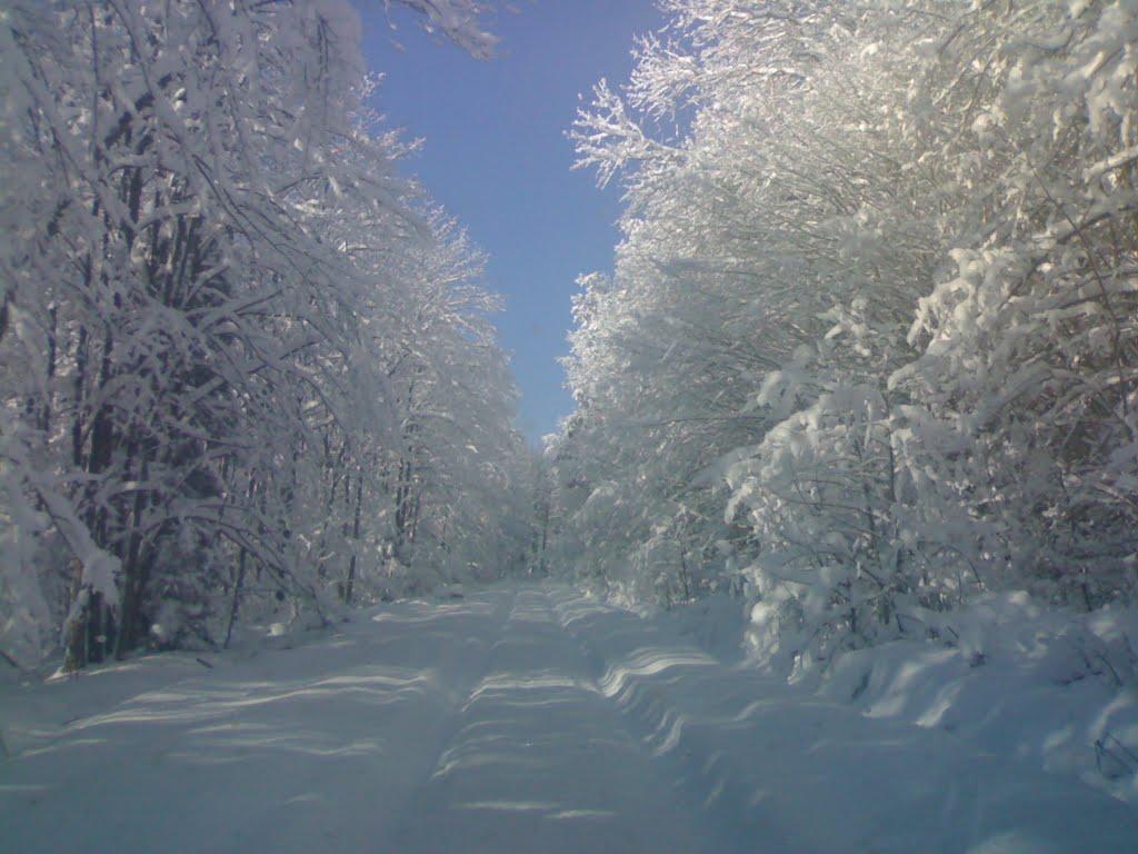 Красноїльськ з panoramio.com - Красноильск