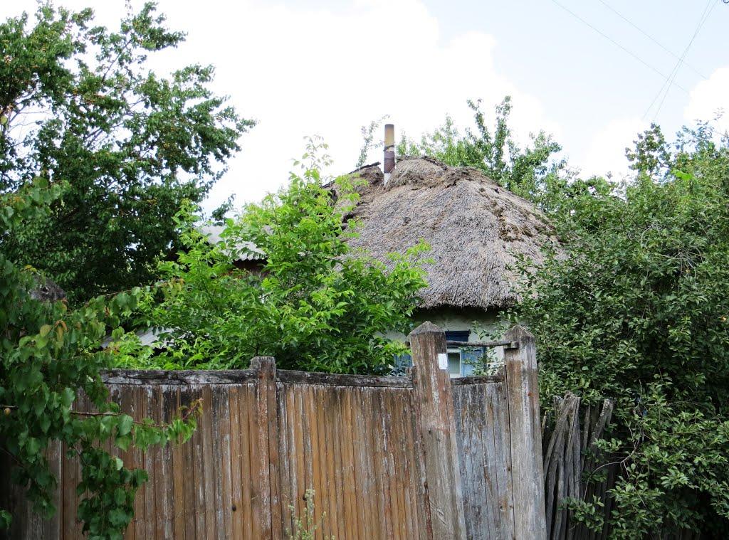 Кам'янка з panoramio.com - Каменка
