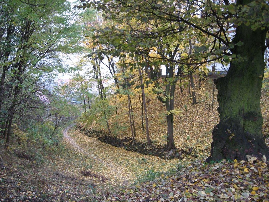 Острог з panoramio.com - Ostrog
