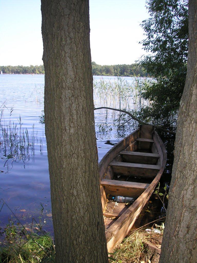 Піща з panoramio.com - Піща