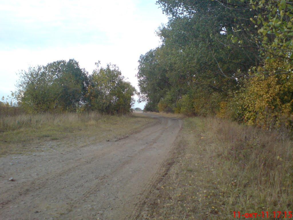 Новоселиця з panoramio.com - Новоселиця