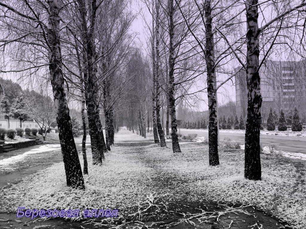 Кузнецовськ з panoramio.com - Varash