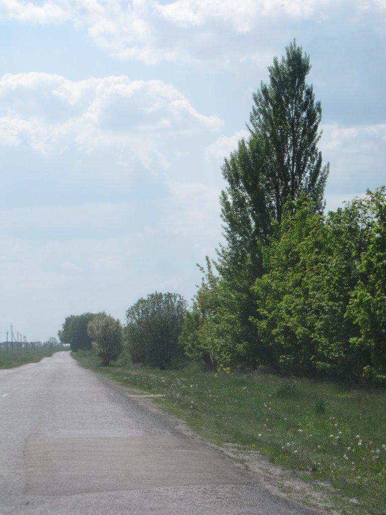 Григорівка з panoramio.com - Григорівка