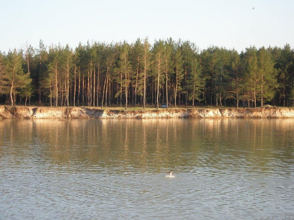 Іллічівка з panoramio.com - Іллічівка