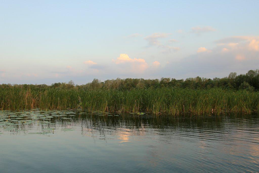 Орлик з panoramio.com