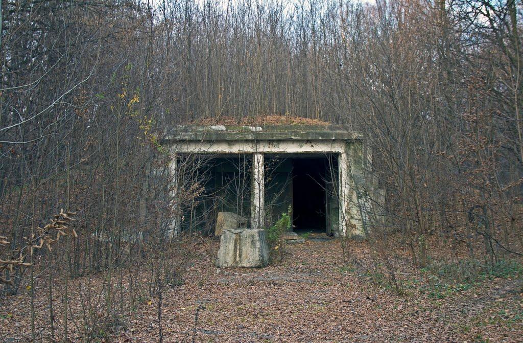 Пултівці з panoramio.com - Пултівці