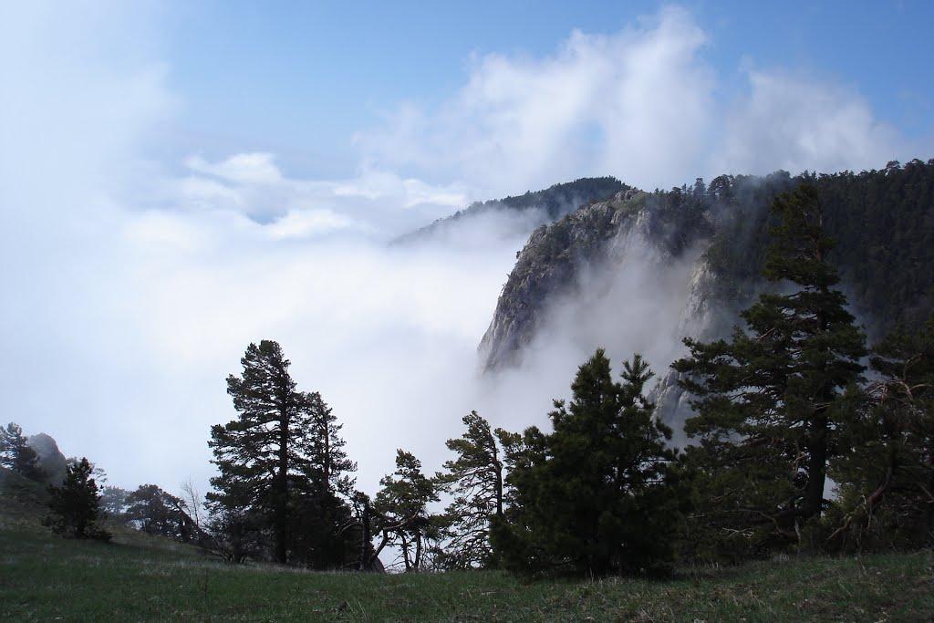 Запрудне з panoramio.com - Zaprudne