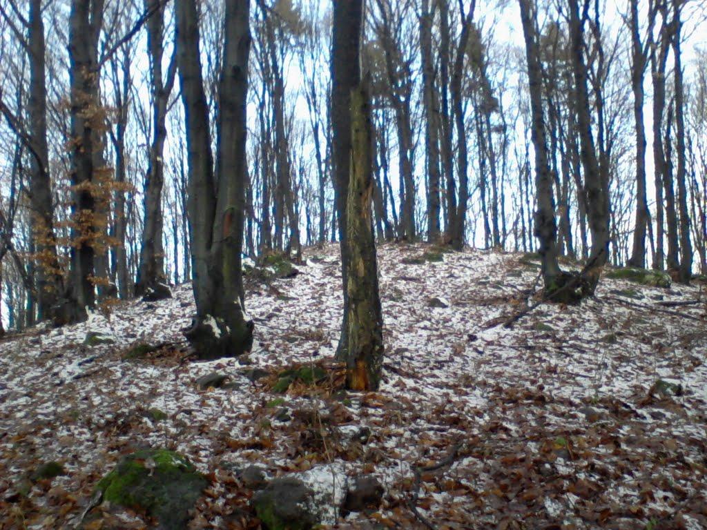 Хижа з panoramio.com - Хижа