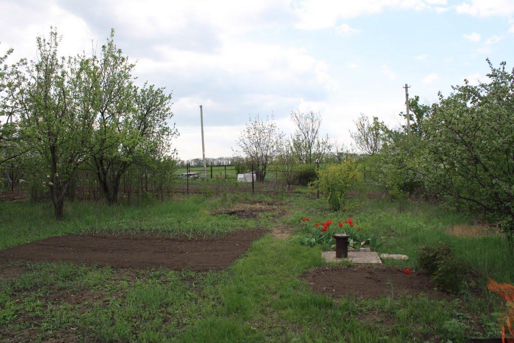 Гришки з panoramio.com - Гришки