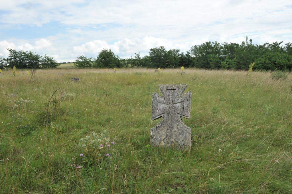 Бецилове з panoramio.com - Betsylove