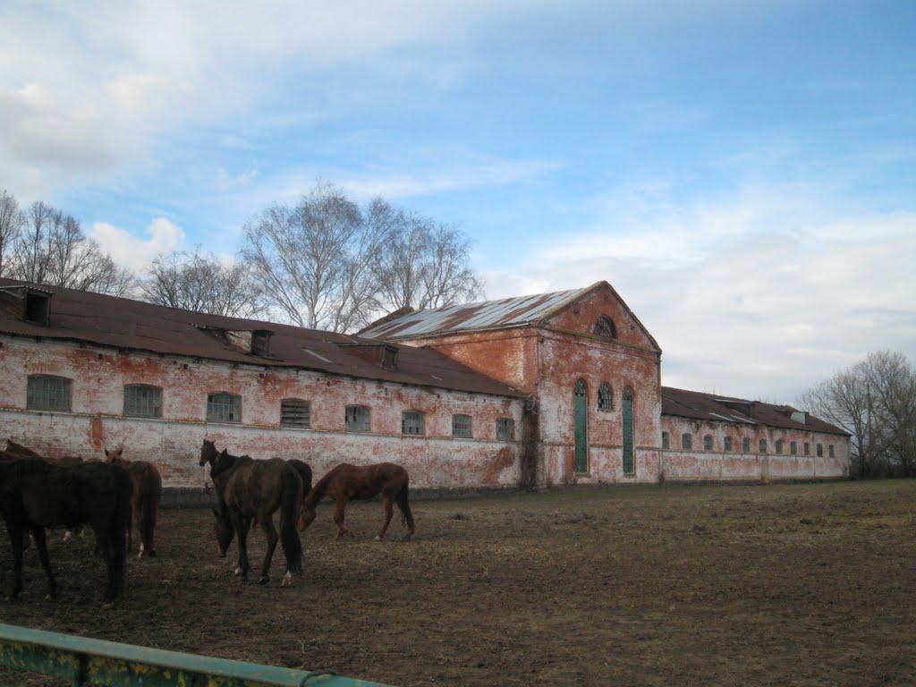 Камбурліївка з panoramio.com - Камбурліївка