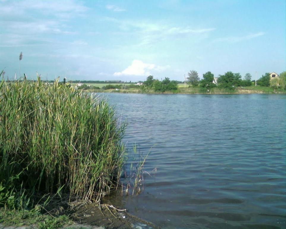 Гришки з panoramio.com - Гришки