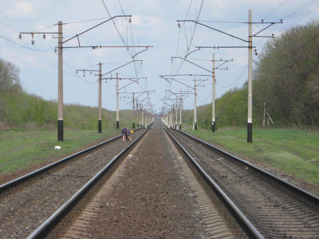 Димитрове з panoramio.com - Котлино