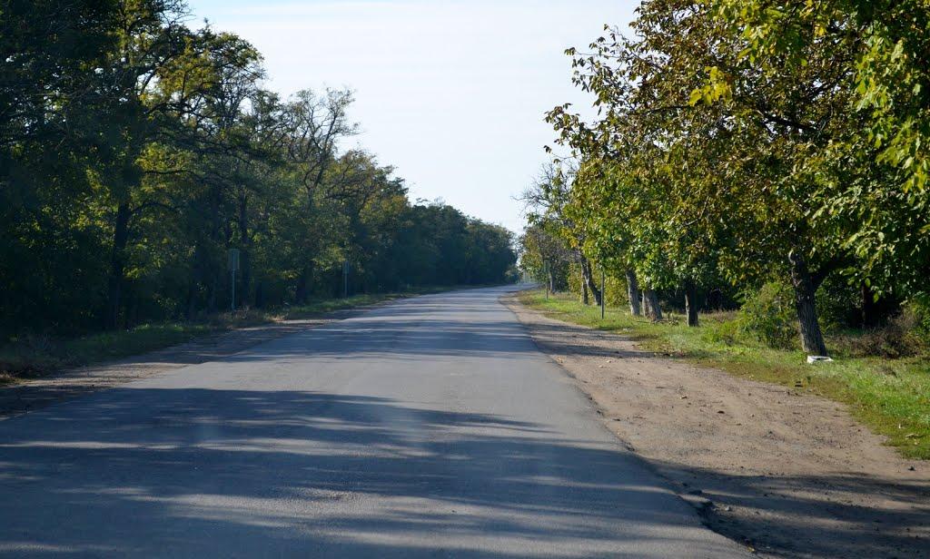 Роздільна з panoramio.com - Роздільна