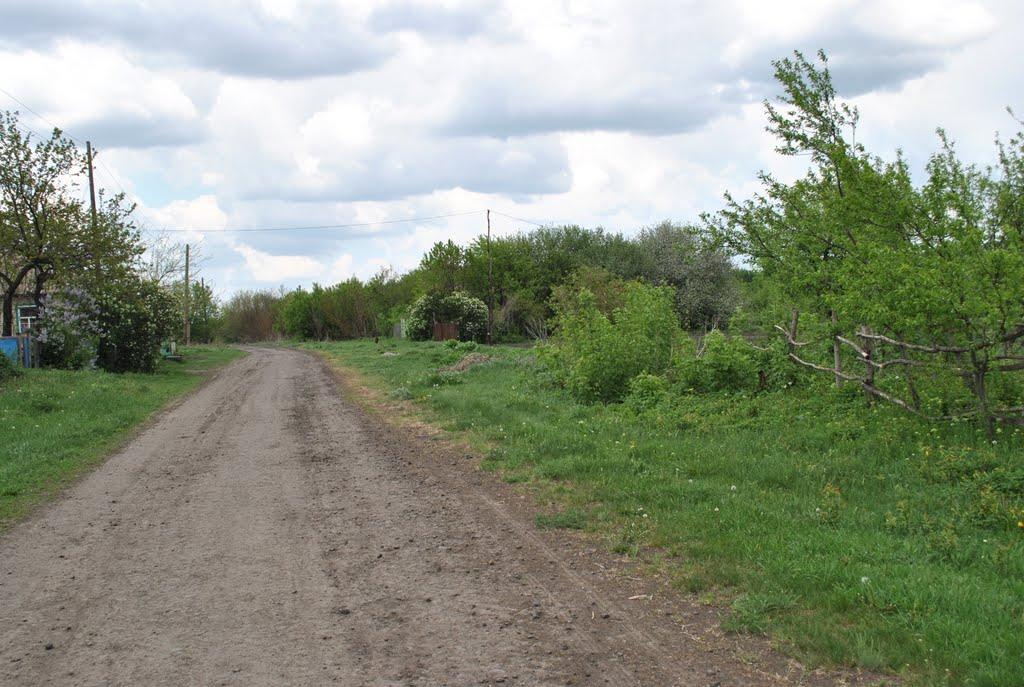 Степний Яр з panoramio.com - Степний Яр