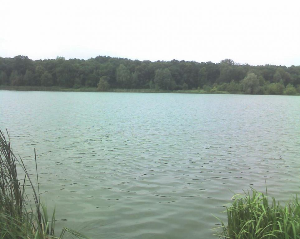 Пилипча з panoramio.com - Пилипча