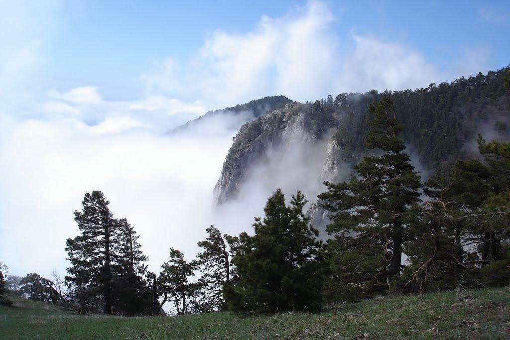 Запрудне з panoramio.com - Zaprudne