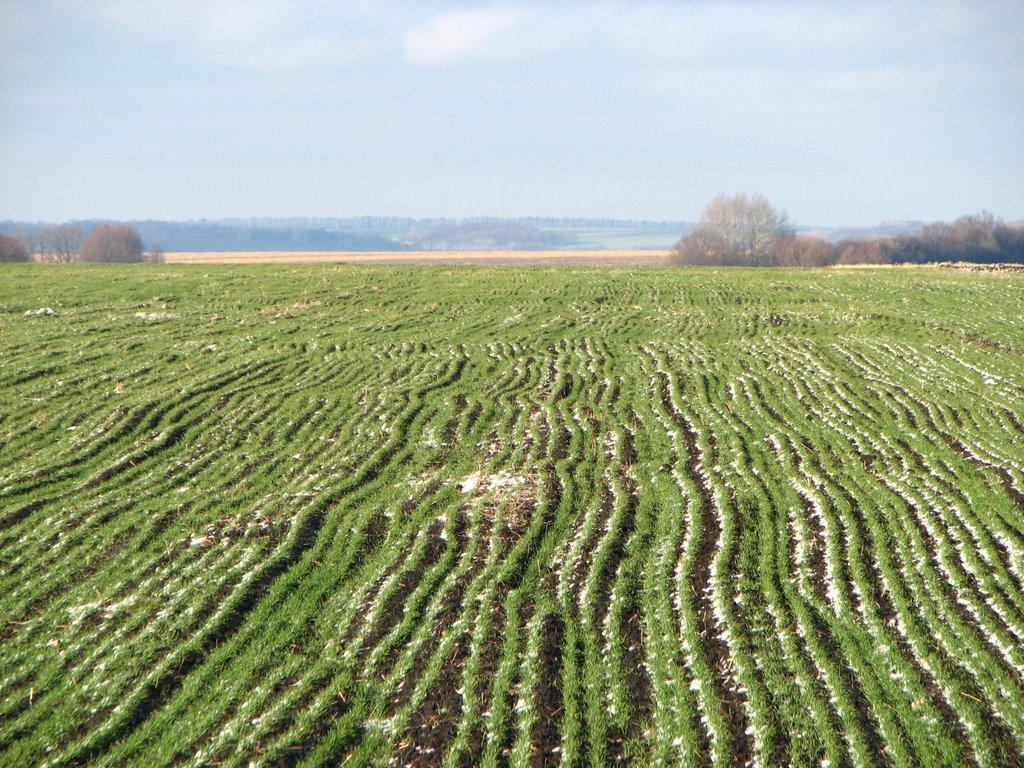 Цвітове з panoramio.com - Цвітове
