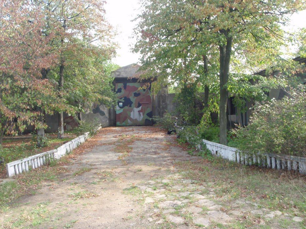 Великий Дальник з panoramio.com - Великий Дальник
