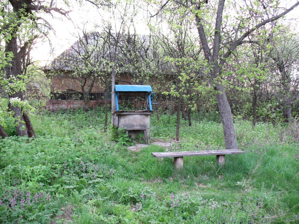 Заїченці з panoramio.com - Заїченці