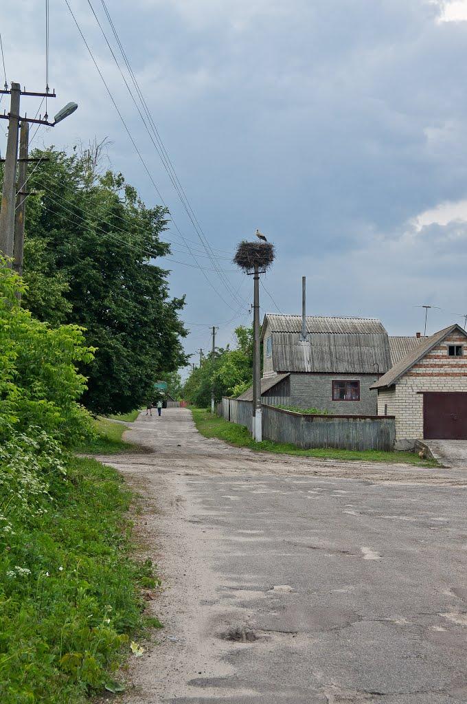 Бушеве з panoramio.com - Бушеве