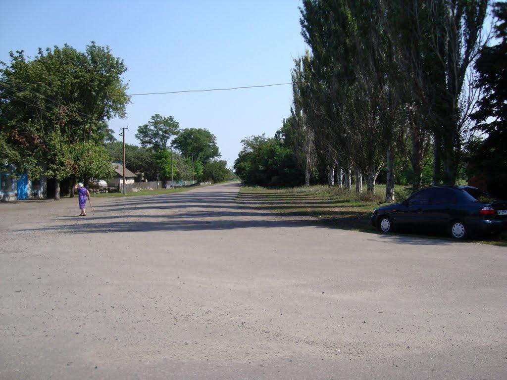 Добровілля з panoramio.com - Добровілля