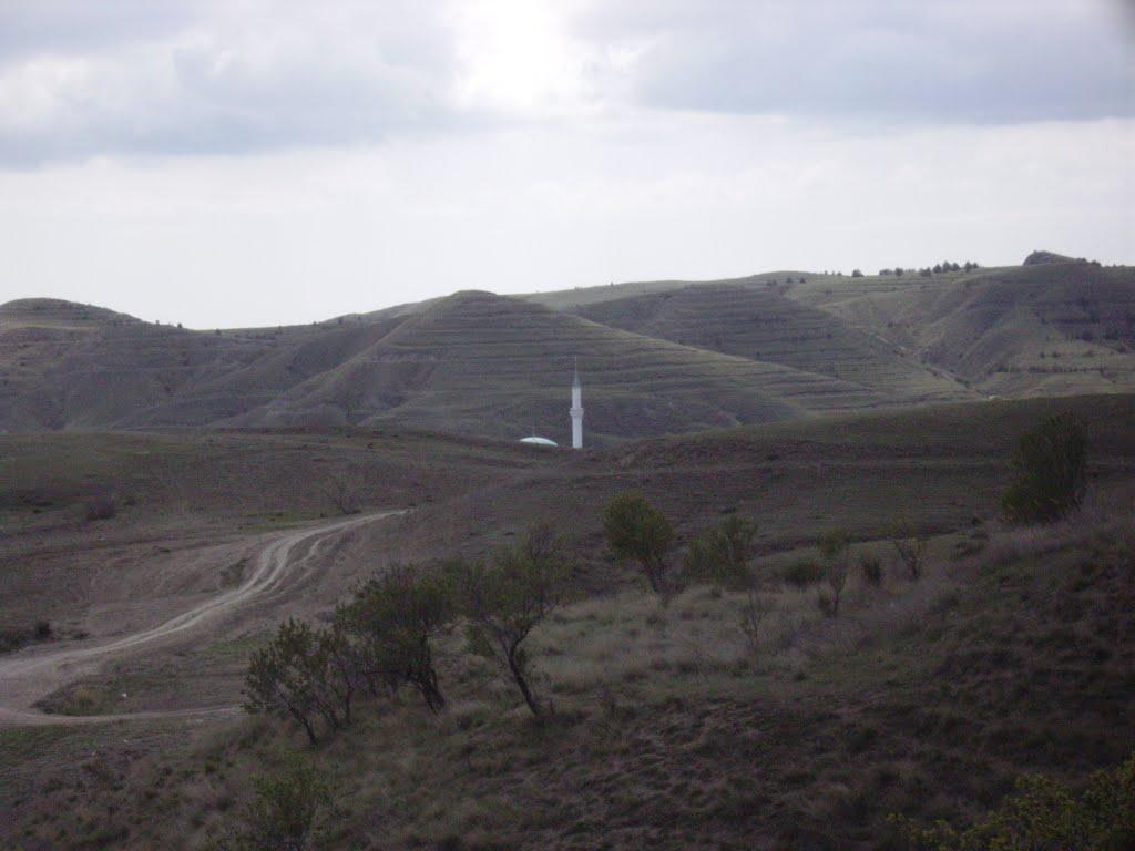 Сонячна Долина з panoramio.com (ч.2) - Солнечная Долина